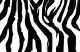 sluggermom228's Avatar
