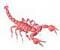Scorps's Avatar