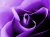 LouisaOz's Avatar