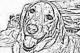 cwillis's Avatar