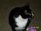 Dustinsbabygirl2010's Avatar