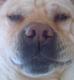 Beahop's Avatar