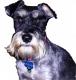 dogtown's Avatar