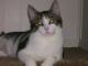 HeartPaws's Avatar