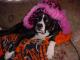 sparky leid's Avatar