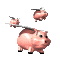 difarmer's Avatar