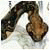 goodmedstore's Avatar