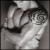cypestype's Avatar