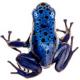 BlueOcarina's Avatar
